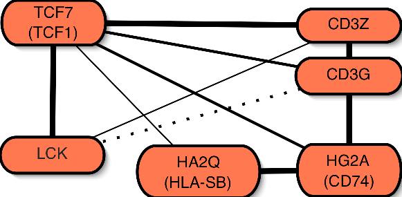 T-cell network